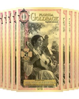 Florida Goldback 24K Gold Notes