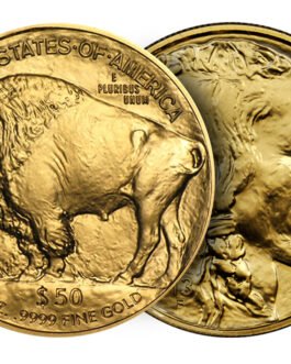 2020 1/10 oz American Gold Eagle Coin