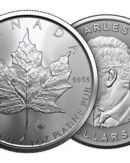 2025 1 oz platinum maple leaf coins mintfirst™ (single coin)