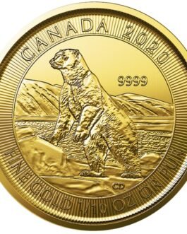 2020 1/10 Oz Gold Canadian Polar Bear Coin